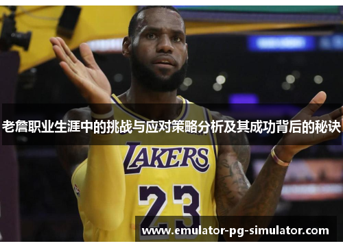 老詹职业生涯中的挑战与应对策略分析及其成功背后的秘诀