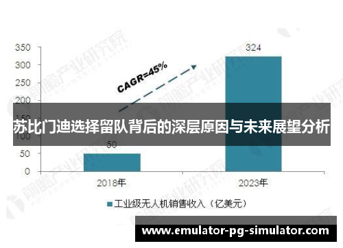 苏比门迪选择留队背后的深层原因与未来展望分析