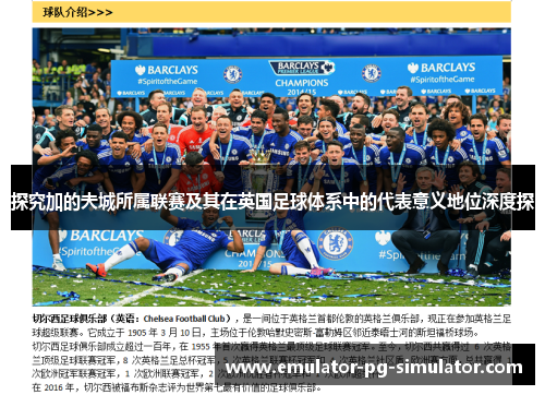 探究加的夫城所属联赛及其在英国足球体系中的代表意义地位深度探