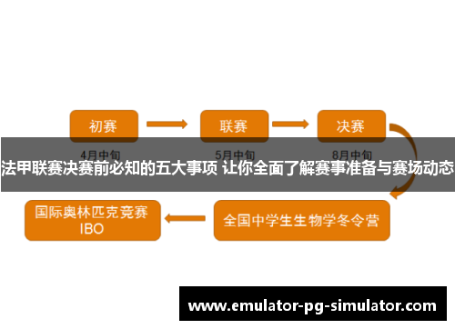 法甲联赛决赛前必知的五大事项 让你全面了解赛事准备与赛场动态