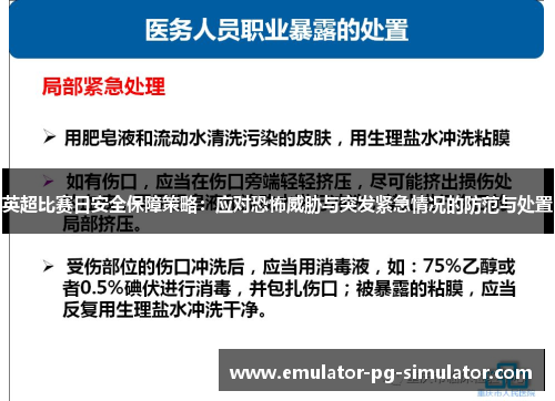 英超比赛日安全保障策略：应对恐怖威胁与突发紧急情况的防范与处置