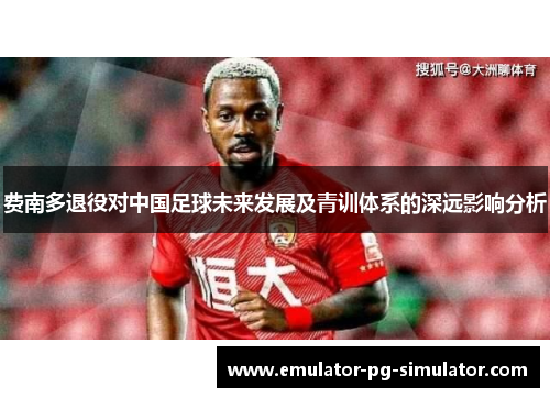 费南多退役对中国足球未来发展及青训体系的深远影响分析