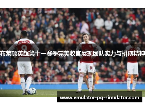 布莱顿英超第十一赛季完美收官展现团队实力与拼搏精神